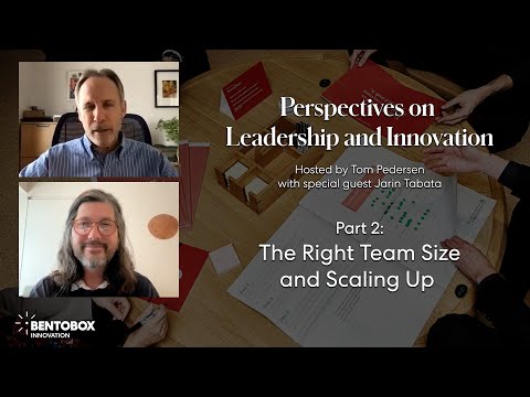 The Right Team Size and Scaling Up - Perspectives on Leadership and Innovation